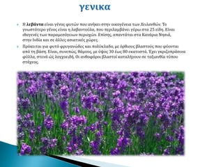  Η λεβάντα είναι γένος φυτών που ανήκει στην οικογένεια των Χειλανθών. Το
γνωστότερο γένος είναι η λαβαντούλα, που περιλαμβάνει γύρω στα 25 είδη. Είναι
ιθαγενές των παραμεσόγειων περιοχών. Επίσης, απαντάται στα Κανάρια Νησιά,
στην Ινδία και σε άλλες ασιατικές χώρες.
 Πρόκειται για φυτό φρυγανώδες και πολύκλαδο, με όρθιους βλαστούς που φύονται
από τη βάση. Είναι, συνεπώς, θάμνος, με ύψος 30 έως 80 εκατοστά. Έχει γκριζοπράσινα
φύλλα, στενά ώς λογχοειδή. Οι ανθοφόροι βλαστοί καταλήγουν σε ταξιανθία τύπου
στάχεος.
 