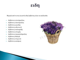 Μερικά από τα πιο γνωστά είδη λεβάντας είναι τα ακόλουθα:
 Λεβάντα η στενόφυλλος
 Λεβάντα η πλατύφυλλος
 Λεβάντα η εριώδης
 Λεβάντα η οδοντωτή
 Λεβάντα η πολυσχιδής
 Λεβάντα η στοιχάς
 Λεβάντα η στρογγυλόφυλλος
 Λεβάντα η θαλερή
 Λεβάντα η πτερωτή
 Λεβάντα η κανάριος
 