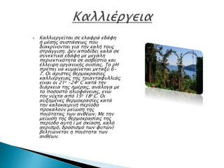 Καλλιεργείται σε ελαφρά εδάφη
ή μέσης συστάσεως που
διακρίνονται για την καλή τους
στράγγιση. Δεν αποδίδει καλά σε
συνεκτικά εδάφη με μεγάλη
περιεκτικότητα σε ασβέστιο και
έλλειψη οργανικής ουσίας. Το ρΗ
πρέπει να κυμαίνεται μεταξύ 6-
7. Οι άριστες θερμοκρασίες
καλλιέργειας της τριανταφυλλιάς
είναι οι 21ο -24ο C κατά την
διάρκεια της ημέρας, ανάλογα με
το ποσοστό ηλιοφάνειας, ενώ
την νύχτα από 15ο 18ο C. Οι
αυξημένες θερμοκρασίες κατά
την καλοκαιρινή περίοδο
προκαλούν μείωση της
ποιότητας των ανθέων. Με την
μείωση της θερμοκρασίας της
περίοδο αυτή ( με σκίαση, καλό
αερισμό, δροσισμό των φυτών)
βελτιώνεται η ποιότητα των
ανθέων.
 