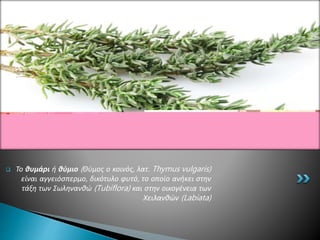  Το θυμάρι ή θύμιο (Θύμος ο κοινός, λατ. Thymus vulgaris)
είναι αγγειόσπερμο, δικότυλο φυτό, το οποίο ανήκει στην
τάξη των Σωληνανθώ (Tubiflora) και στην οικογένεια των
Χειλανθών (Labiata)
 