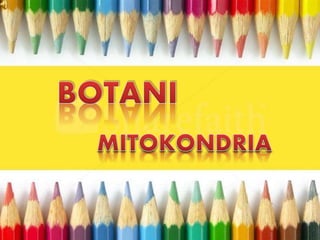 mitokondria