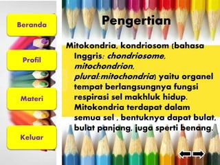 Beranda 
Profil 
Materi 
Keluar 
Pengertian 
Mitokondria, kondriosom (bahasa 
Inggris: chondriosome, 
mitochondrion, 
plural:mitochondria) yaitu organel 
tempat berlangsungnya fungsi 
respirasi sel makhluk hidup. 
Mitokondria terdapat dalam 
semua sel , bentuknya dapat bulat, 
bulat panjang, juga sperti benang. 
 