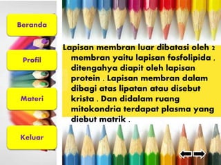 Beranda 
Profil 
Materi 
Keluar 
Lapisan membran luar dibatasi oleh 2 
membran yaitu lapisan fosfolipida , 
ditengahya diapit oleh lapisan 
protein . Lapisan membran dalam 
dibagi atas lipatan atau disebut 
krista . Dan didalam ruang 
mitokondria terdapat plasma yang 
diebut matrik . 
 
