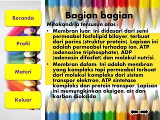 Beranda 
Profil 
Materi 
Keluar 
Bagian bagian 
Mitokondria tersusun atas : 
• Membran luar: ini didasari dari semi 
permeabel fosfolipid bilayer, terbuat 
dari porins (struktur protein). Lapisan ini 
adalah permeabel terhadap ion, ATP 
(adenosine triphosphate), ADP 
(adenosin difosfat) dan molekul nutrisi. 
• Membran dalam: Ini adalah membran 
yang kompleks tapi permeabel terbuat 
dari molekul kompleks dari sistem 
transpor elektron, ATP sintetase 
kompleks dan protein transpor. Lapisan 
ini memungkinkan oksigen, air dan 
karbon dioksida. 
 