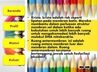 Beranda 
Profil 
Materi 
Keluar 
• Krista: krista adalah rak seperti 
lipatan pada membran batin. Mereka 
membantu dalam perluasan struktur 
membran sel dalam ketika ada 
kebutuhan untuk lebih banyak ruang 
untuk mengakomodasi lebih banyak 
molekul DNA mitokondria. 
• Ruang antarmembran: ini adalah 
ruang antara membran luar dan 
membran dalam. Ruang 
antarmembran terutama 
bertanggung jawab untuk fosforilasi 
oksidatif. 
 