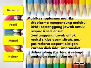 Beranda 
Profil 
Materi 
Keluar 
Matriks sitoplasma: matriks 
sitoplasma mengandung molekul 
DNA (bertanggung jawab untuk 
respirasi sel), enzim 
(bertanggung jawab untuk 
reaksi siklus asam sitrat), gas-gas 
terlarut (seperti oksigen, 
karbon dioksida), intermediet 
didaur ulang (berfungsi sebagai 
angkutan energi) dan air. 
 