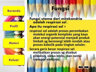 Beranda 
Profil 
Materi 
Keluar 
Fungsi 
Fungsi utama dari mitokondria 
adalah respirasi sel . 
Apa itu respirasi sel ? 
respirasi sel adalah proses perombakan 
molekul organik kompleks yang kaya 
akan energi potensial menjadi produk 
limbah yg berenergi lebih rendah atau 
proses kabolik pada tingkat seluler. 
Secara garis besar respirasi sel 
melibatkan proses yg disebut 
glikolisis, siklus krebs, dan rantai 
transpor elektron. 
 
