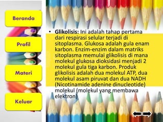 Beranda 
Profil 
Materi 
Keluar 
• Glikolisis: Ini adalah tahap pertama 
dari respirasi selular terjadi di 
sitoplasma. Glukosa adalah gula enam 
karbon. Enzim-enzim dalam matriks 
sitoplasma memulai glikolisis di mana 
molekul glukosa dioksidasi menjadi 2 
molekul gula tiga karbon. Produk 
glikolisis adalah dua molekul ATP, dua 
molekul asam piruvat dan dua NADH 
(Nicotinamide adenine dinucleotide) 
molekul (molekul yang membawa 
elektron) 
 
