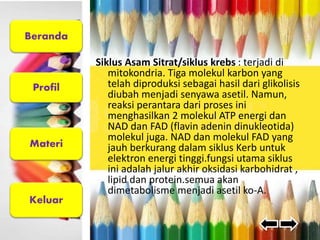 Beranda 
Profil 
Materi 
Keluar 
Siklus Asam Sitrat/siklus krebs : terjadi di 
mitokondria. Tiga molekul karbon yang 
telah diproduksi sebagai hasil dari glikolisis 
diubah menjadi senyawa asetil. Namun, 
reaksi perantara dari proses ini 
menghasilkan 2 molekul ATP energi dan 
NAD dan FAD (flavin adenin dinukleotida) 
molekul juga. NAD dan molekul FAD yang 
jauh berkurang dalam siklus Kerb untuk 
elektron energi tinggi.fungsi utama siklus 
ini adalah jalur akhir oksidasi karbohidrat , 
lipid dan protein.semua akan 
dimetabolisme menjadi asetil ko-A. 
 