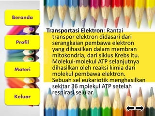 Beranda 
Profil 
Materi 
Keluar 
Transportasi Elektron: Rantai 
transpor elektron didasari dari 
serangkaian pembawa elektron 
yang dihasilkan dalam membran 
mitokondria, dari siklus Krebs itu. 
Molekul-molekul ATP selanjutnya 
dihasilkan oleh reaksi kimia dari 
molekul pembawa elektron. 
Sebuah sel eukariotik menghasilkan 
sekitar 36 molekul ATP setelah 
respirasi selular. 
 