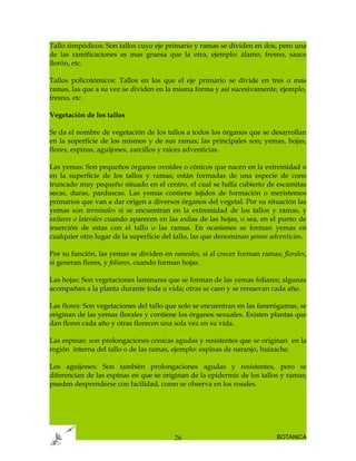 Tallo simpódicos: Son tallos cuyo eje primario y ramas se dividen en dos, pero una
de las ramificaciones es mas gruesa que la otra, ejemplo: álamo, fresno, sauce
llorón, etc.

Tallos policotómicos: Tallos en los que el eje primario se divide en tres o mas
ramas, las que a su vez se dividen en la misma forma y así sucesivamente, ejemplo,
fresno, etc.

Vegetación de los tallos

Se da el nombre de vegetación de los tallos a todos los órganos que se desarrollan
en la superficie de los mismos y de sus ramas; las principales son; yemas, hojas,
flores, espinas, aguijones, zarcillos y raíces adventicias.

Las yemas: Son pequeños órganos ovoides o cónicos que nacen en la extremidad o
en la superficie de los tallos y ramas; están formadas de una especie de cono
truncado muy pequeño situado en el centro, el cual se halla cubierto de escamitas
secas, duras, parduscas. Las yemas contiene tejidos de formación o meristemos
primarios que van a dar origen a diversos órganos del vegetal. Por su situación las
yemas son terminales si se encuentran en la extremidad de los tallos y ramas, y
axilares o laterales cuando aparecen en las axilas de las hojas, o sea, en el punto de
inserción de estas con el tallo o las ramas. En ocasiones se forman yemas en
cualquier otro lugar de la superficie del tallo, las que denominan yemas adventicias.

Por su función, las yemas se dividen en rameales, si al crecer forman ramas; florales,
si generan flores, y foliares, cuando forman hojas.

Las hojas: Son vegetaciones laminares que se forman de las yemas foliares; algunas
acompañan a la planta durante toda u vida; otras se caen y se renuevan cada año.

Las flores: Son vegetaciones del tallo que solo se encuentran en las fanerógamas, se
originan de las yemas florales y contiene los órganos sexuales. Existen plantas que
dan flores cada año y otras florecen una sola vez en su vida.

Las espinas: son prolongaciones cónicas agudas y resistentes que se originan en la
región interna del tallo o de las ramas, ejemplo: espinas de naranjo, huizache.

Los aguijones: Son también prolongaciones agudas y resistentes, pero se
diferencian de las espinas en que se originan de la epidermis de los tallos y ramas;
pueden desprenderse con facilidad, como se observa en los rosales.




                                         26                                 BOTANICA
 