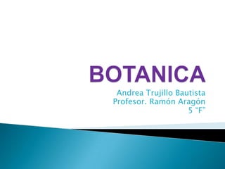 BOTANICA Andrea Trujillo Bautista Profesor. Ramón Aragón  5 “F”  