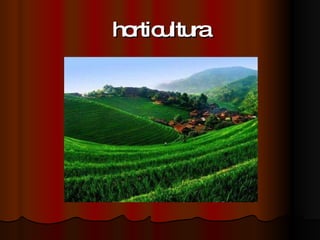 horticultura 