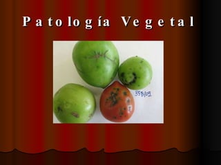 Patología Vegetal   