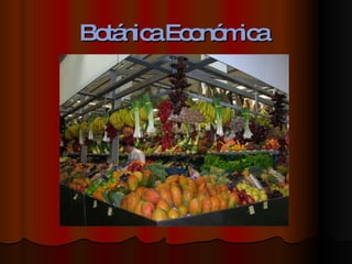 Botánica Económica   