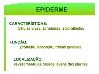 EPIDERME

CARACTERÍSTICAS:
   Células vivas, achatadas, aclorofiladas


FUNÇÃO:
    proteção, absorção, trocas gasosas


  LOCALIZAÇÃO:
  revestimento de órgãos jovens das plantas
 