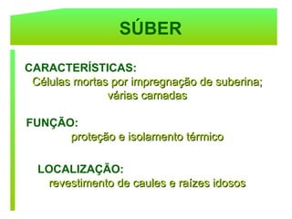 SÚBER

CARACTERÍSTICAS:
 Células mortas por impregnação de suberina;
               várias camadas

FUNÇÃO:
      proteção e isolamento térmico

  LOCALIZAÇÃO:
   revestimento de caules e raízes idosos
 