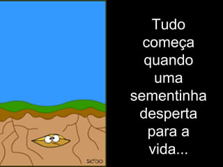 Tudo
  começa
  quando
    uma
sementinha
 desperta
   para a
   vida...
 