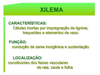XILEMA

CARACTERÍSTICAS:
  Células mortas por impregnação de lignina;
       traqueídes e elementos de vaso

FUNÇÃO:
 condução de seiva inorgânica e sustentação

  LOCALIZAÇÃO:
constituintes dos feixes vasculares
                 de raiz, caule e folha
 