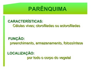 PARÊNQUIMA

CARACTERÍSTICAS:
  Células vivas; clorofiladas ou aclorofiladas


FUNÇÃO:
 preenchimento, armazenamento, fotossíntese

LOCALIZAÇÃO:
         por todo o corpo do vegetal
 