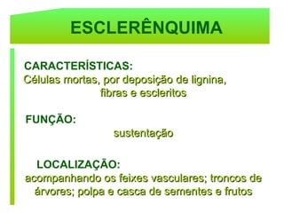 ESCLERÊNQUIMA

CARACTERÍSTICAS:
Células mortas, por deposição de lignina,
               fibras e escleritos

FUNÇÃO:
                  sustentação

  LOCALIZAÇÃO:
acompanhando os feixes vasculares; troncos de
  árvores; polpa e casca de sementes e frutos
 