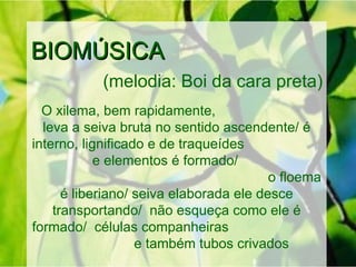 BIOMÚSICA
            (melodia: Boi da cara preta)
  O xilema, bem rapidamente,
  leva a seiva bruta no sentido ascendente/ é
interno, lignificado e de traqueídes
            e elementos é formado/
                                         o floema
      é liberiano/ seiva elaborada ele desce
    transportando/ não esqueça como ele é
formado/ células companheiras
                   e também tubos crivados
 