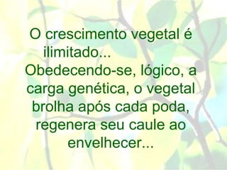 O crescimento vegetal é
   ilimitado...
Obedecendo-se, lógico, a
carga genética, o vegetal
 brolha após cada poda,
 regenera seu caule ao
       envelhecer...
 