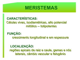 MERISTEMAS

CARACTERÍSTICAS:
Células vivas, isodiamétricas, alto potencial
              mitótico -- totipotentes

FUNÇÃO:
  crescimento longitudinal e em espessura

   LOCALIZAÇÃO:
  regiões apicais de raiz e caule, gemas e nós
      laterais, câmbio vascular e felogênio
 