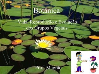 Botânica
Vida, Reprodução e Evolução
   dos Grupos Vegetais.




       Prof. Magrão
 