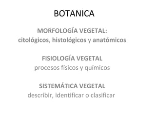 BOTANICA
MORFOLOGÍA VEGETAL:
citológicos, histológicos y anatómicos
FISIOLOGÍA VEGETAL
procesos físicos y químicos
SISTEMÁTICA VEGETAL
describir, identificar o clasificar

 