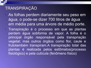 TRANSPIRAÇÃO 
• As folhas perdem diariamente seu peso em 
água, o pode-se dizer 700 litros de água 
em média para uma árvore de médio porte. 
• Transpiração é o processo em que as plantas 
perdem água sobforma de vapor. A folha é o 
principal órgão responsável pela transpriação 
vegetal; mas outros órgãos como flor, caule e 
frutotambém transpiram.A transpiração total das 
plantas é realizada pelos estômatos(processo 
fisiológico) e pela cutícula (fenômeno físico) 
 