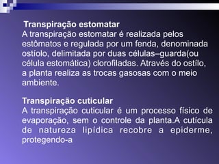 Transpiração estomatar 
A transpiração estomatar é realizada pelos 
estômatos e regulada por um fenda, denominada 
ostíolo, delimitada por duas células–guarda(ou 
célula estomática) clorofiladas. Através do ostílo, 
a planta realiza as trocas gasosas com o meio 
ambiente. 
Transpiração cuticular 
A transpiração cuticular é um processo físico de 
evaporação, sem o controle da planta.A cutícula 
de natureza lipídica recobre a epiderme, 
protegendo-a 
 