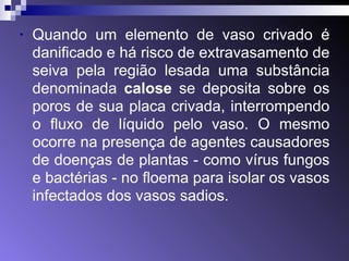 • Quando um elemento de vaso crivado é 
danificado e há risco de extravasamento de 
seiva pela região lesada uma substância 
denominada calose se deposita sobre os 
poros de sua placa crivada, interrompendo 
o fluxo de líquido pelo vaso. O mesmo 
ocorre na presença de agentes causadores 
de doenças de plantas - como vírus fungos 
e bactérias - no floema para isolar os vasos 
infectados dos vasos sadios. 
 