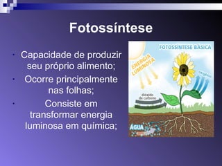 Fotossíntese 
• Capacidade de produzir 
seu próprio alimento; 
• Ocorre principalmente 
nas folhas; 
• Consiste em 
transformar energia 
luminosa em química; 
 