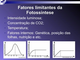 Fatores limitantes da 
Fotossíntese 
• Intensidade luminosa; 
• Concentração de CO2; 
• Temperatura; 
• Fatores internos: Genética, posição das 
folhas, nutrição e etc. 
 