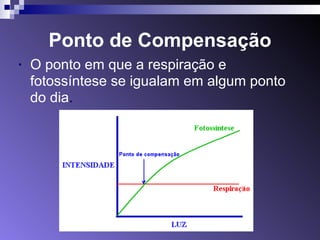 Ponto de Compensação 
• O ponto em que a respiração e 
fotossíntese se igualam em algum ponto 
do dia. 
 