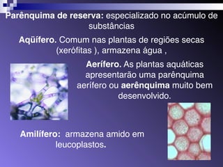 Parênquima de reserva: especializado no acúmulo de 
substâncias 
Aqüífero. Comum nas plantas de regiões secas 
(xerófitas ), armazena água , 
Aerífero. As plantas aquáticas 
apresentarão uma parênquima 
aerífero ou aerênquima muito bem 
desenvolvido. 
Amilífero: armazena amido em 
leucoplastos. 
 