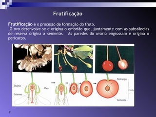 Frutificação 
Frutificação é o processo de formação do fruto. 
O ovo desenvolve–se e origina o embrião que, juntamente com as substâncias 
de reserva origina a semente. As paredes do ovário engrossam e origina o 
pericarpo. 
51 
 