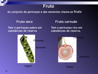 Fruto 
Ao conjunto do pericarpo e das sementes chama-se fruto 
Fruto seco Fruto carnudo 
• Tem o pericarpo pobre em 
substâncias de reserva 
• Tem o pericarpo rico em 
substâncias de reserva. 
Pericarpo 
Semente 
Vagem Drupa 
Pericarpo 
Semente 
52 
 