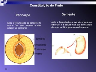 Constituição do Fruto 
Pericarpo Semente 
• Após a fecundação as paredes do 
ovário fica mais espessa e dão 
origem ao pericarpo 
• Após a fecundação o ovo dá origem ao 
embrião e a célula-mãe das substância 
de reserva dá origem ao endosperma. 
Epicarpo 
Mesocarpo 
Endocarpo 
Semente 
53 
 