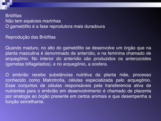Briófitas 
Não tem espécies marinhas 
O gametófito é a fase reprodutora mais duradoura 
Reprodução das Briófitas 
Quando maduro, no alto do gametófito se desenvolve um órgão que na 
planta masculina é denominado de anterídio, e na feminina chamado de 
arquegônio. No interior do anterídio são produzidos os anterozoides 
(gametas biflagelados), e no arquegônio, a oosfera. 
O embrião recebe substâncias nutritiva da planta mãe, processo 
conhecido como Matrotrofia, células especializada pelo arquegônio. 
Esse conjuntos de células responsáveis pela transferencia ativa de 
nutrientes para o embrião em desenvolvimento é chamado de placenta 
por analogia ao órgão presente em certos animais e que desempenha a 
função semelhante. 
 