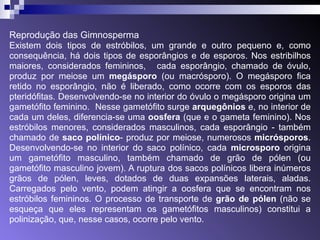 Reprodução das Gimnosperma 
Existem dois tipos de estróbilos, um grande e outro pequeno e, como 
consequência, há dois tipos de esporângios e de esporos. Nos estribilhos 
maiores, considerados femininos, cada esporângio, chamado de óvulo, 
produz por meiose um megásporo (ou macrósporo). O megásporo fica 
retido no esporângio, não é liberado, como ocorre com os esporos das 
pteridófitas. Desenvolvendo-se no interior do óvulo o megásporo origina um 
gametófito feminino. Nesse gametófito surge arquegônios e, no interior de 
cada um deles, diferencia-se uma oosfera (que e o gameta feminino). Nos 
estróbilos menores, considerados masculinos, cada esporângio - também 
chamado de saco polínico- produz por meiose, numerosos micrósporos. 
Desenvolvendo-se no interior do saco polínico, cada microsporo origina 
um gametófito masculino, também chamado de grão de pólen (ou 
gametófito masculino jovem). A ruptura dos sacos polínicos libera inúmeros 
grãos de pólen, leves, dotados de duas expansões laterais, aladas. 
Carregados pelo vento, podem atingir a oosfera que se encontram nos 
estróbilos femininos. O processo de transporte de grão de pólen (não se 
esqueça que eles representam os gametófitos masculinos) constitui a 
polinização, que, nesse casos, ocorre pelo vento. 
 