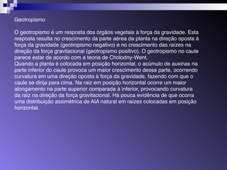 Geotropismo 
O geotropismo é um resposta dos órgãos vegetais à força da gravidade. Esta 
resposta resulta no crescimento da parte aérea da planta na direção oposta à 
força da gravidade (geotropismo negativo) e no crescimento das raízes na 
direção da força gravitacional (geotropismo positivo). O geotropismo no caule 
parece estar de acordo com a teoria de Cholodny-Went. 
Quando a planta é colocada em posição horizontal, o acúmulo de auxinas na 
parte inferior do caule provoca um maior crescimento dessa parte, ocorrendo 
curvatura em uma direção oposta à força da gravidade, fazendo com que o 
caule se dirija para cima. Na raiz em posição horizontal ocorre um maior 
alongamento na parte superior comparada à inferior, provocando curvatura 
da raiz na direção da força gravitacional. Há pouca evidência de que ocorra 
uma distribuição assimétrica de AIA natural em raízes colocadas em posição 
horizontal. 
 