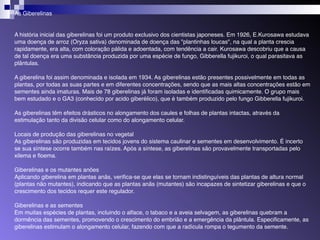As Giberelinas 
A história inicial das giberelinas foi um produto exclusivo dos cientistas japoneses. Em 1926, E.Kurosawa estudava 
uma doença de arroz (Oryza sativa) denominada de doença das "plantinhas loucas", na qual a planta crescia 
rapidamente, era alta, com coloração pálida e adoentada, com tendência a cair. Kurosawa descobriu que a causa 
de tal doença era uma substância produzida por uma espécie de fungo, Gibberella fujikuroi, o qual parasitava as 
plântulas. 
A giberelina foi assim denominada e isolada em 1934. As giberelinas estão presentes possivelmente em todas as 
plantas, por todas as suas partes e em diferentes concentrações, sendo que as mais altas concentrações estão em 
sementes ainda imaturas. Mais de 78 giberelinas já foram isoladas e identificadas quimicamente. O grupo mais 
bem estudado e o GA3 (conhecido por acido giberélico), que é também produzido pelo fungo Gibberella fujikuroi. 
As giberelinas têm efeitos drásticos no alongamento dos caules e folhas de plantas intactas, através da 
estimulação tanto da divisão celular como do alongamento celular. 
Locais de produção das giberelinas no vegetal 
As giberelinas são produzidas em tecidos jovens do sistema caulinar e sementes em desenvolvimento. É incerto 
se sua síntese ocorre também nas raízes. Após a síntese, as giberelinas são provavelmente transportadas pelo 
xilema e floema. 
Giberelinas e os mutantes anões 
Aplicando giberelina em plantas anãs, verifica-se que elas se tornam indistinguíveis das plantas de altura normal 
(plantas não mutantes), indicando que as plantas anãs (mutantes) são incapazes de sintetizar giberelinas e que o 
crescimento dos tecidos requer este regulador. 
Giberelinas e as sementes 
Em muitas espécies de plantas, incluindo o alface, o tabaco e a aveia selvagem, as giberelinas quebram a 
dormência das sementes, promovendo o crescimento do embrião e a emergência da plântula. Especificamente, as 
giberelinas estimulam o alongamento celular, fazendo com que a radícula rompa o tegumento da semente. 
