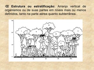  Estrutura ou estratificação: Arranjo vertical de
organismos ou de suas partes em níveis mais ou menos
definidos, tanto na parte aérea quanto subterrânea.
 