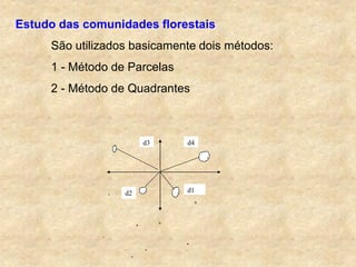 Estudo das comunidades florestais
São utilizados basicamente dois métodos:
1 - Método de Parcelas
2 - Método de Quadrantes
d3 d4
d2 d1
 