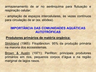 armazenamento de ar no aerênquima para flutuação e
respiração celular;
- ampliação de espaços intercelulares, às vezes contínuos
para circulação de ar (ex. elódea).
IMPORTÂNCIA DAS COMUNIDADES AQUÁTICAS
AUTOTRÓFICAS
Produtores primários de matéria orgânica:
Strickland (1965): Fitoplâncton: 95% da produção primária
na maioria dos ecossistemas.
Brown & Austin (1971): Perifiton: principais produtores
primários em rios, pequenos corpos d‟água e na região
marginal de lagos rasos.
 
