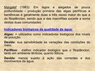 Margalef (1983): Em lagos e alagados de pouca
profundidade - produção primária das algas perifíticas e
bentônicas é geralmente duas a três vezes maior do que a
do fitoplâncton, sendo que a das macrófitas excede a soma
destas duas comunidades.
Indicadores biológicos da qualidade da água:
Algas: + utilizados como indicadores biológicos dos níveis
de poluição.
Devido: sua sensibilidade às variações das condições do
meio.
Perifiton: melhor indicador biológico que o fitoplâncton,
tanto em ambiente lênticos, quanto lóticos.
Devido: menos sujeito à ação das correntes e dos
movimentos da água.
 