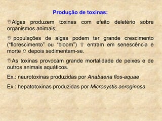 Produção de toxinas:
Algas produzem toxinas com efeito deletério sobre
organismos animais;
 populações de algas podem ter grande crescimento
(“florescimento” ou “bloom”)  entram em senescência e
morte  depois sedimentam-se.
As toxinas provocam grande mortalidade de peixes e de
outros animais aquáticos.
Ex.: neurotoxinas produzidas por Anabaena flos-aquae
Ex.: hepatotoxinas produzidas por Microcystis aeroginosa
 