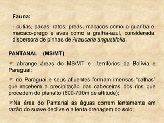 Fauna:
- cutias, pacas, ratos, preás, macacos como o guariba e
macaco-prego e aves como a gralha-azul, considerada
dispersora de pinhas de Araucaria angustifolia.
PANTANAL (MS/MT)
 abrange áreas do MS/MT e territórios da Bolívia e
Paraguai;
 rio Paraguai e seus afluentes formam imensas "calhas"
que recebem a precipitação das cabeceiras dos rios que
procedem do planalto (600-700m de altitude);
Na área do Pantanal as águas correm lentamente em
razão do suave declive e a lenta drenagem do solo;
 